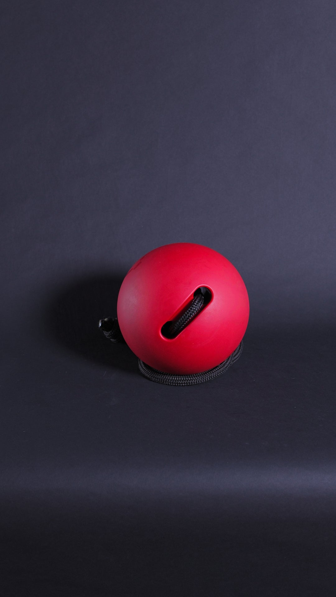 PARABALL - 21 LBS (BIG BOY 9.5 KG)