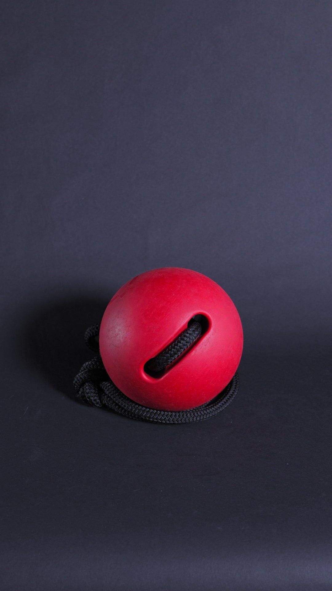 PARABALL - 10 LBS (4.5 KG)