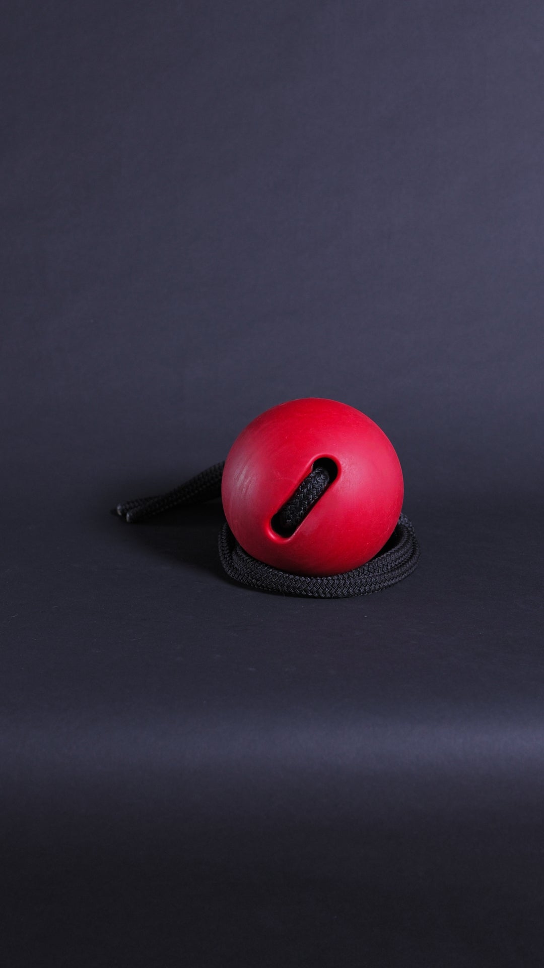PARABALL - 6 LBS (2.7 KG)