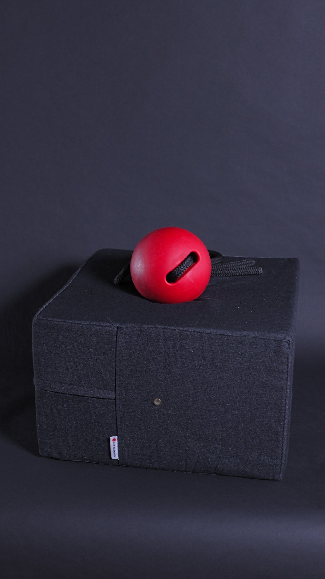 Paraball Mat (Indoor slam mat for the Paraball)