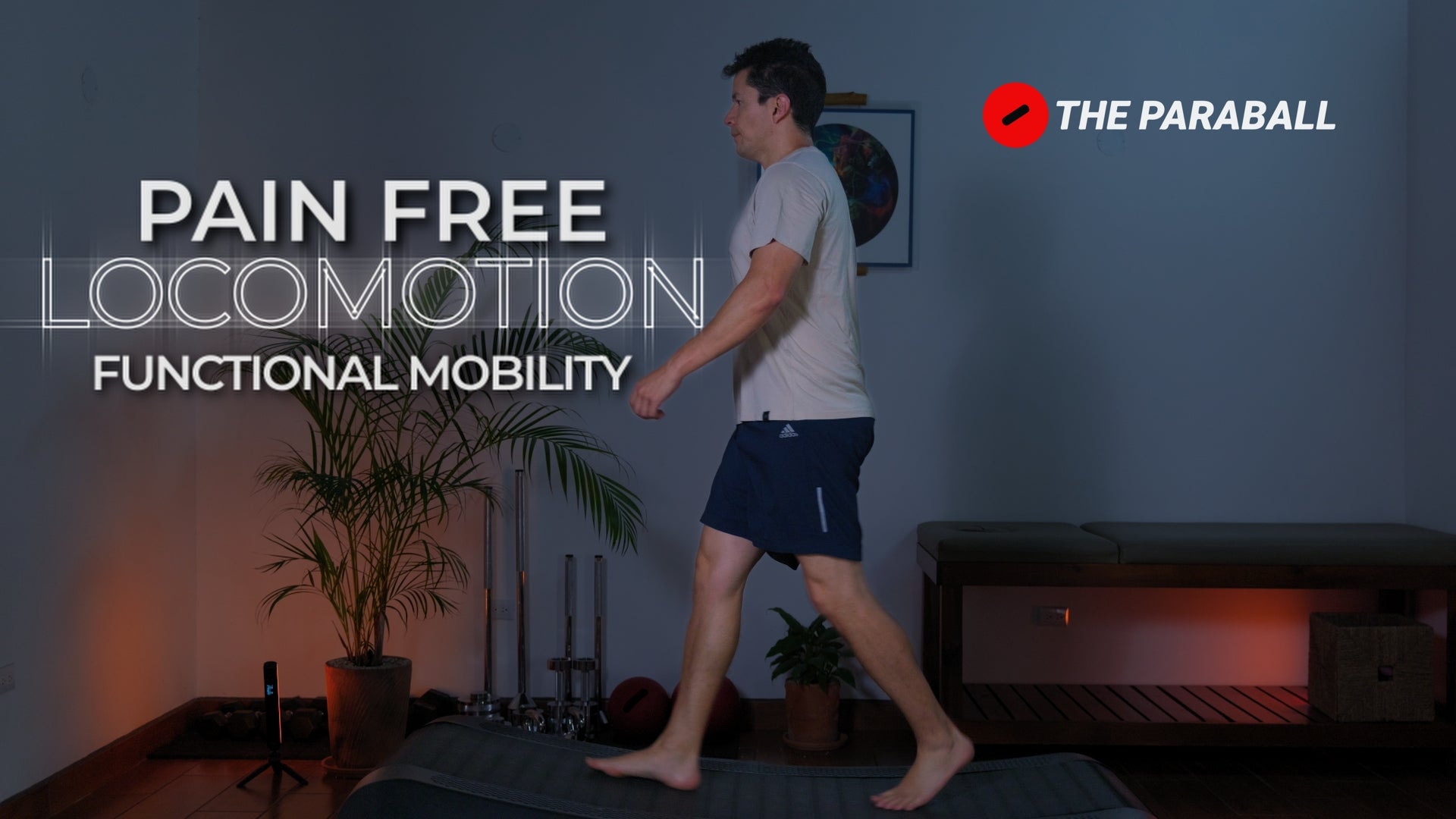 PAIN FREE LOCOMOTION: FUNCTIONAL MOBILITY ESSENTIALS - ONLINE COURSE